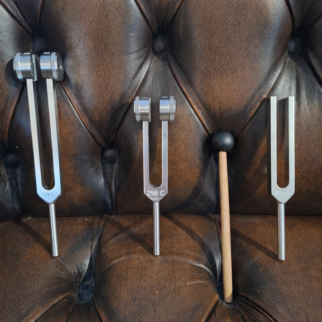 Set of 3 aluminum tuning forks + hammer + storage bag 🎵 – photo 11